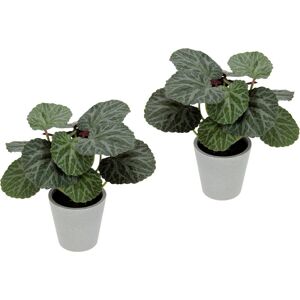I.GE.A. Kunstplant Kunstmatige plant begonia in pot begonia struik bladplant Balkonplant struik bladeren kunstplant decoratie kunstbloemen potplant (2 stuks) groen