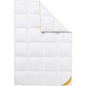 BALETTE deLuxe ganzendons cassette dekbed Gold Edition extra warm (155 x 220 cm)
