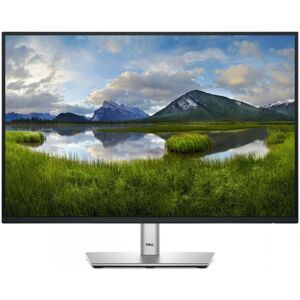 DELL Pro Plus P2425 computer monitor 61,1 cm (24.1") 1920 x DELL-P2425
