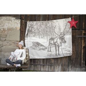 David Fussenegger Savona Pledd Reinsdyr M Slede 150x200 Cm Fra Df