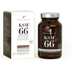 MSM NORGE-INFLUIDITY KSM66 Ashwagandha