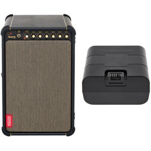 Positive Grid Spark Live w/Battery Bundle