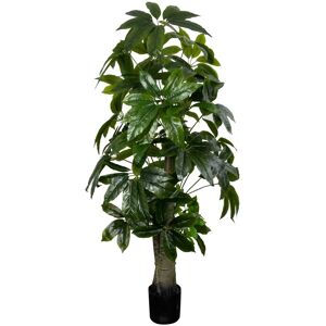 Home-tex Kunstig Lykkekastanje tre - Høyde 170 cm - Store og dekorative blader - Kunstig gulvplante