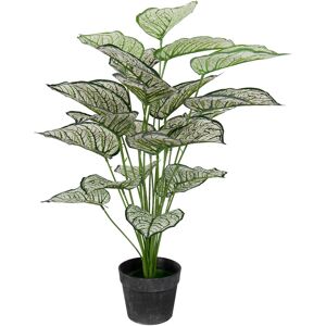 Home-tex Kunstig plante 80 cm - Vakker Calathea med hvite og grønne blader