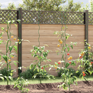 vidaXL Spiral Plante Støtter 50 stk 170 cm Stål