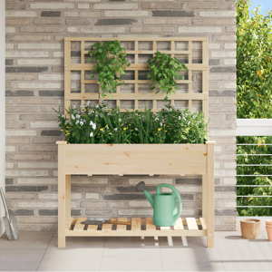 vidaXL Hageplanter med espalier og hylle 115x59x152 cm Massivt Furu