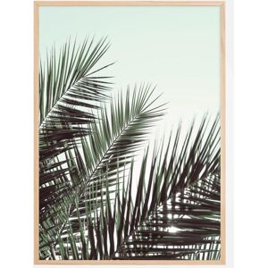 Bildverkstad Palm Leaves Sky Plakat (50x70 Cm)