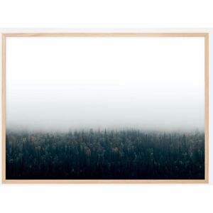 Bildverkstad Forests In Fog Plakat (70x100 Cm)