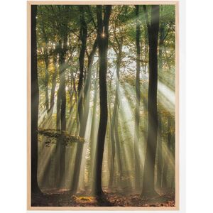 Bildverkstad Sunny Start To The Day Plakat (21x29.7 Cm (A4))
