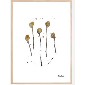 Bildverkstad Plants Iii Plakat (40x50 Cm)