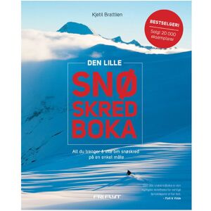 Bøker Den Lille Snøskredboka