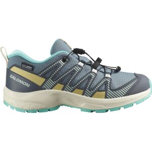 Salomon Kids' Xa Pro V8 Waterproof Trooper/turbulence/aruba Blue 34