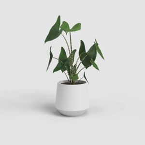 Artevasi Vaso Redondo Faiança 17cm Branco emb. 1 un