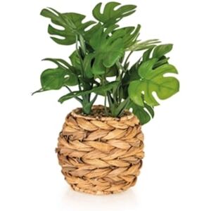 Kasa Vaso Seagrass com Planta Artificial Monstera 1 un