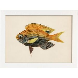 Nacnic Póster Pesca Amarela, Cinza e Laranja, Fundo de Papel Vintage