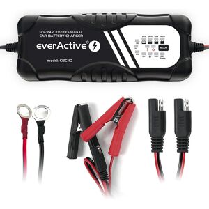 Carregador de Baterias 12V (10...300Ah) / 24V (10...150Ah) - everActive