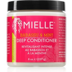 Mielle Babassu & Mint condicionador profundamente nutritivo 227 g. Babassu & Mint