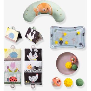 TAF TOYS Brinquedos para brincar de barriga para baixo - TAFT TOYS multicolor