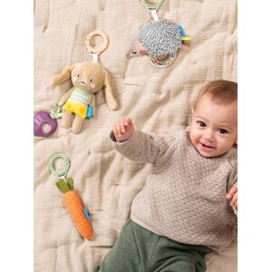 Conjunto de brinquedos de atividades - TAF TOYS multicolor