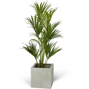 Wexter Konstväxt kentiapalm 120cm