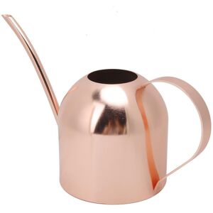 Health & Beauty PRODUCT 1000ml Rostfritt Stål Vattenkanna Strökanna Lång Pip Trädgård Blommor Växter Vattenbehållare