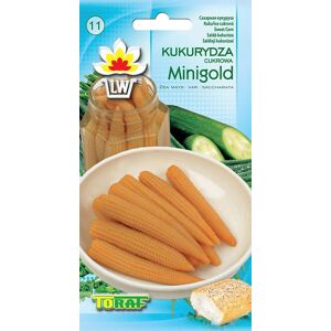 Toraf Sockermajs Minigold 5g grönsaksfrön för trädgården stora skördar