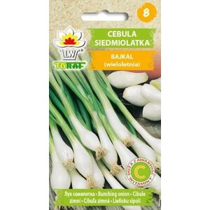 Toraf Baikal sjuårig lök 3g grönsaksfrön för trädgården färska stora skördar