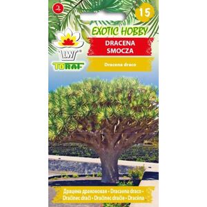 Toraf Dracaena drakfrön 5 st. blommor till trädgården