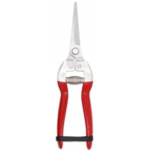 Blomsterbeskärningssax Bonsai Växter, Rostfritt Stål Trädgårdsgran (GPPS-1008). Sax för Blomsterhandel och Trädgårdsskötsel Colibri