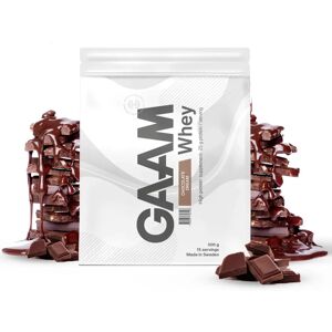 Gaam Whey 500 G Chocolate Dream