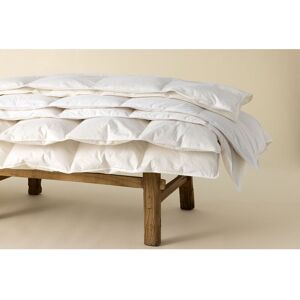 Die Zudecke 100% Canadian Goose Down 3tog Duvet White Single