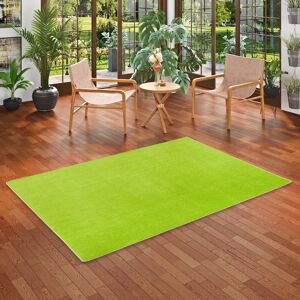 Snapstyle Trend velour carpet Joy Rectangular 160 x 200cm