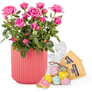 123 Flowers Rose Garden Gift