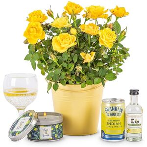 123 Flowers Roses and Gin - Gin Gifts - Gin Gift Delivery - Gifts with Gin - Gin Gift Sets - Gin Gift Baskets - Gin Hampers