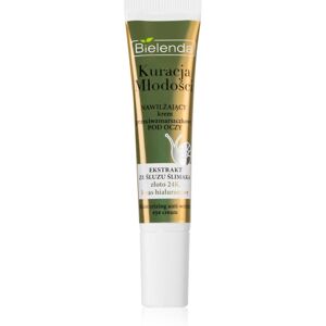 Bielenda Youth Therapy anti-wrinkle eye cream with moisturising effect 15 ml