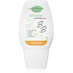 Bione Cosmetics Antakne mattifying BB cream shade Light 40 ml