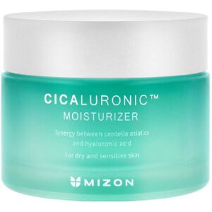 Mizon Cicaluronic Moisturizer 50mL