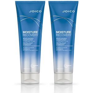 JOICO Moisture Recovery Conditioner 250ml Double