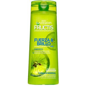 Garnier Fructis Strength & Shine 2 in 1 shampoo 360 ml