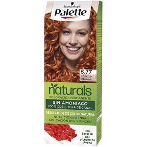 Palette Natural tinte 8.77-cobrizo intenso