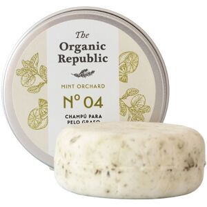 The Organic Republic Solid Shampoo oily hair 70 gr