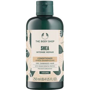 The Body Shop Shea acondicionador 250 ml