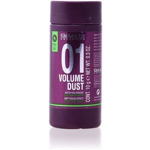 Salerm Volume Dust matifying powder 10 gr