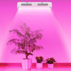 DailySale IMountek LED Plant Grow Lights 1000W