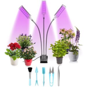 DailySale Adjustable 3-Head Grow Lights for Indoor Plants with Timer