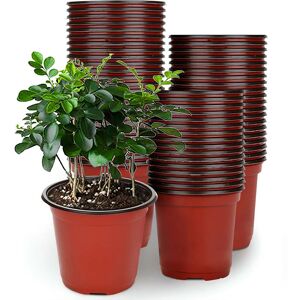 DailySale 100-Piece: Plastic Plant Nursery Pots