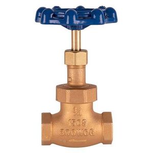 "T&S 006648-20B 3/4"" Globe Valve, Blue Handle"