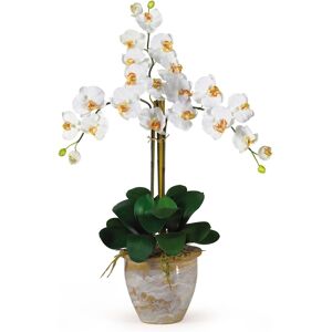 Nearly Natural Triple Phalaenopsis Silk Orchid Flower Arrangement - Cream