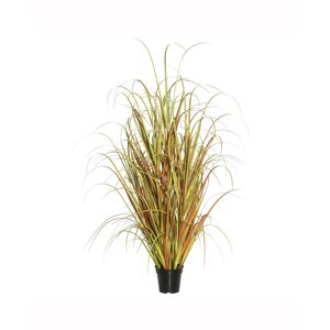 Vickerman 36