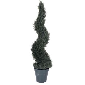 Vickerman 48